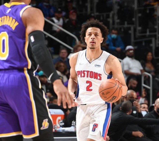 这支年轻的 这支年轻的